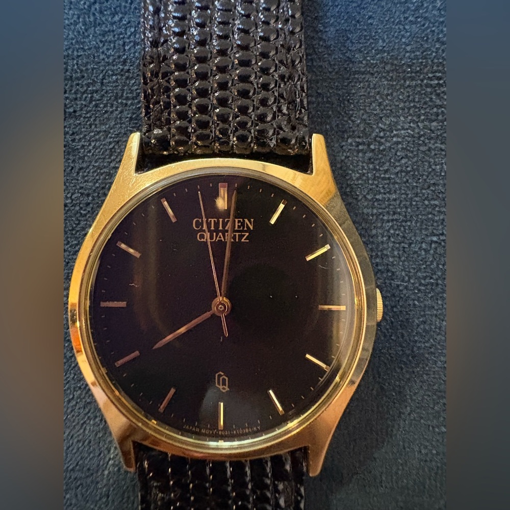 Citizen Black and Gold Men's Watch